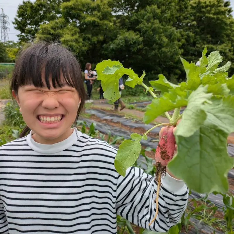 mino-LL農園で収穫した二十日大根を嬉しそうに持つ子ども（豊川市の体験農園）