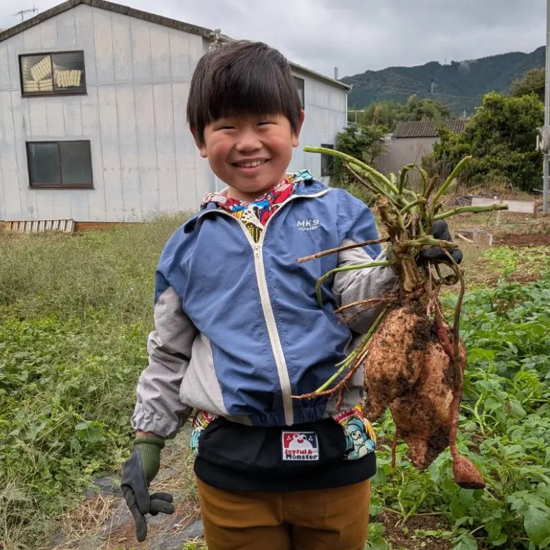 mino-LL農園で収穫したさつまいもを嬉しそうに持つ子ども（豊川市の体験農園）