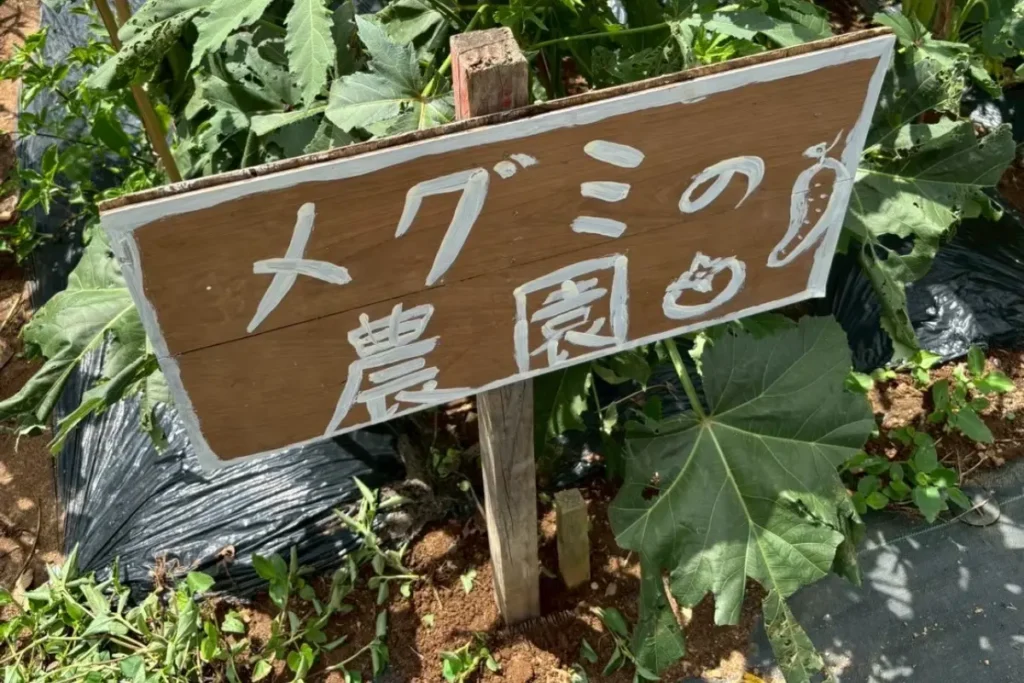 農園に設置された手作り看板 - mino-LL